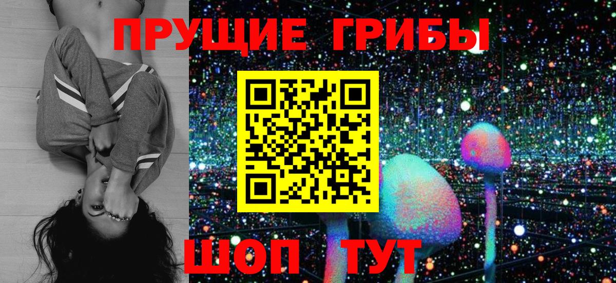 Псилоцибиновые грибы мухоморы Минусинск