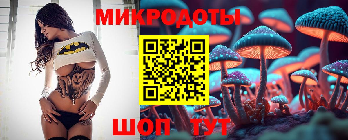 Псилоцибиновые грибы Magic Shrooms  где купить наркоту  Галлюциногенные грибы Psilocybe  Минусинск  Вход с VPN 